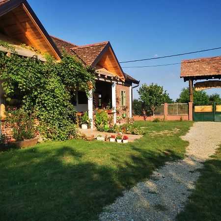Amanet House Zasavica Apartment Bagian luar foto