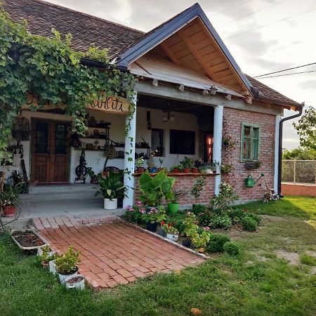 Amanet House Zasavica Apartment Bagian luar foto