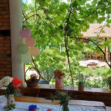 Amanet House Zasavica Apartment Bagian luar foto