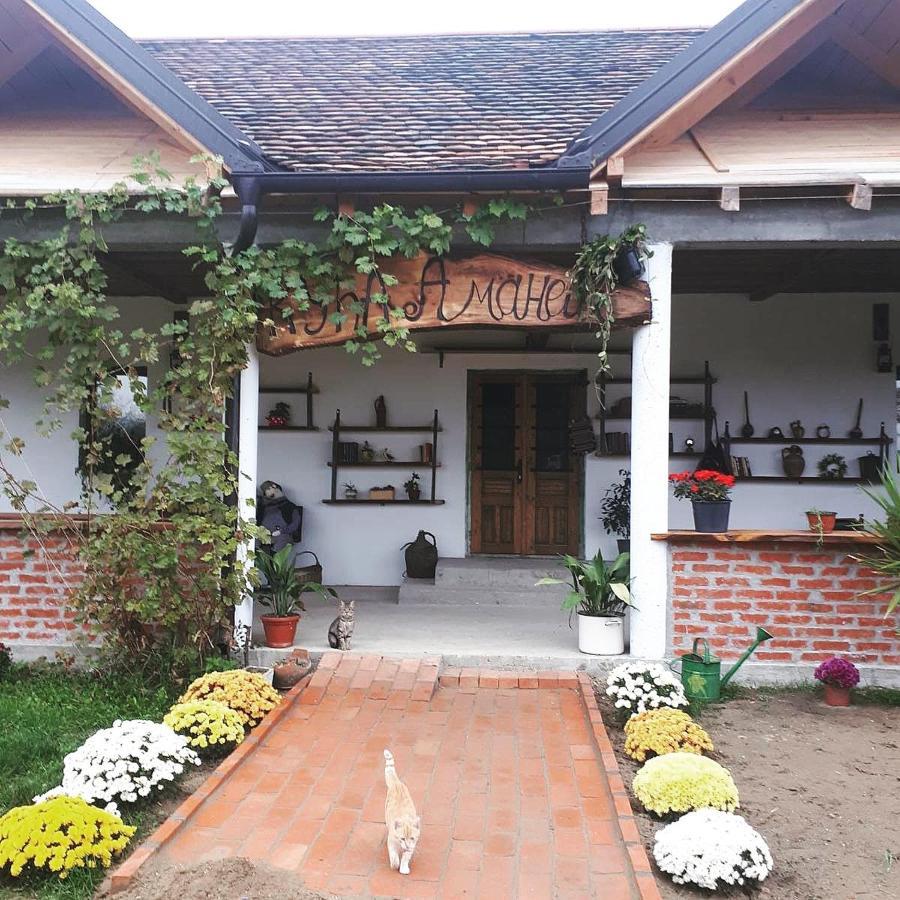 Amanet House Zasavica Apartment Bagian luar foto