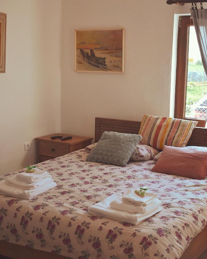 Amanet House Zasavica Apartment Bagian luar foto