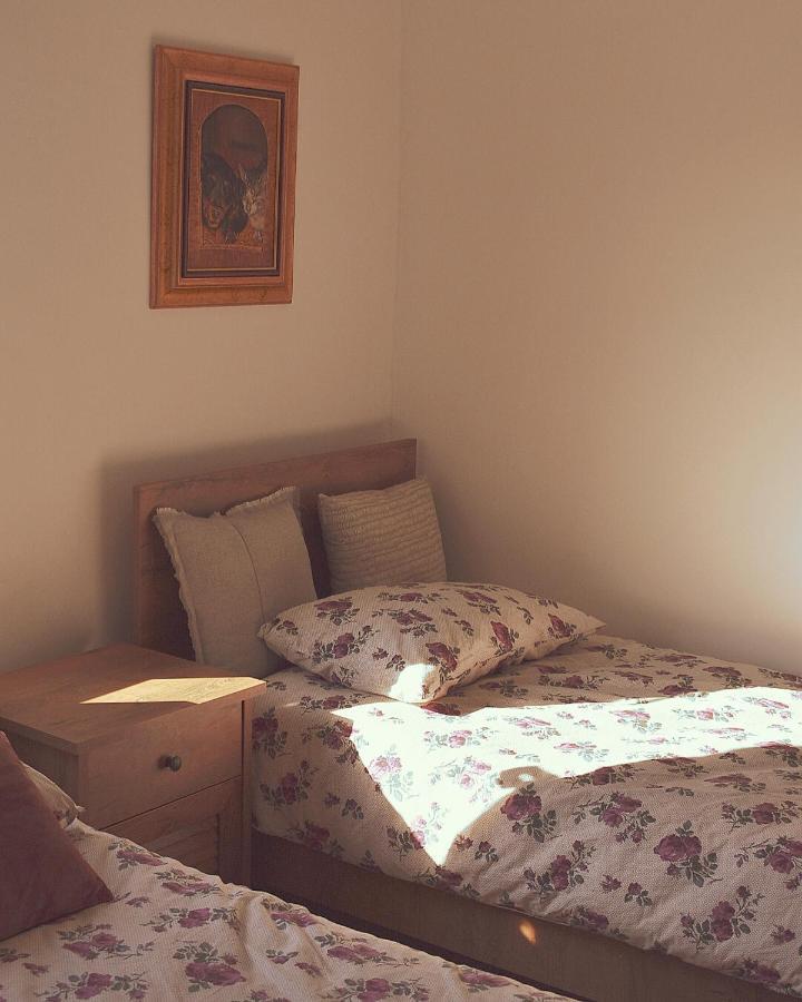 Amanet House Zasavica Apartment Bagian luar foto