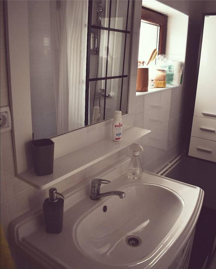 Amanet House Zasavica Apartment Bagian luar foto
