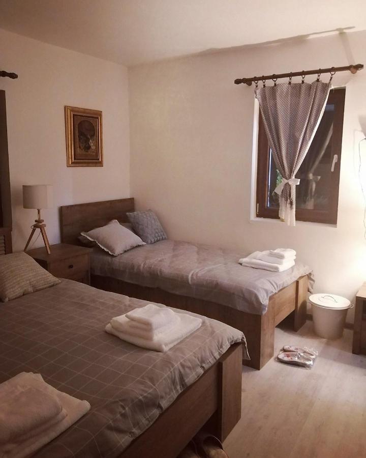 Amanet House Zasavica Apartment Bagian luar foto
