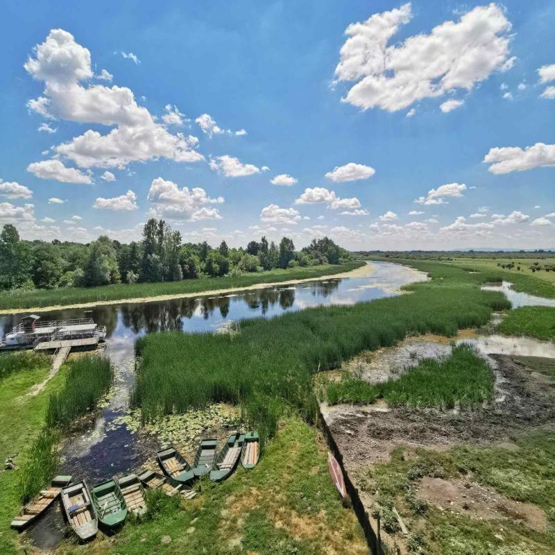 Amanet House Zasavica Apartment Bagian luar foto
