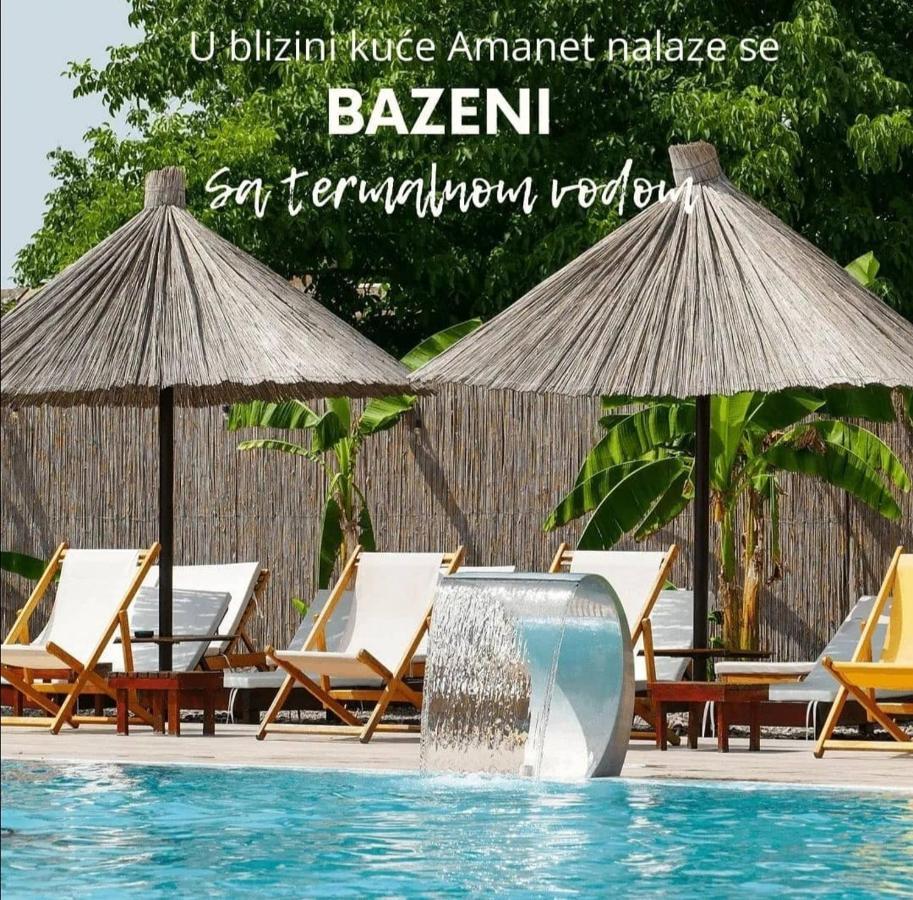 Amanet House Zasavica Apartment Bagian luar foto