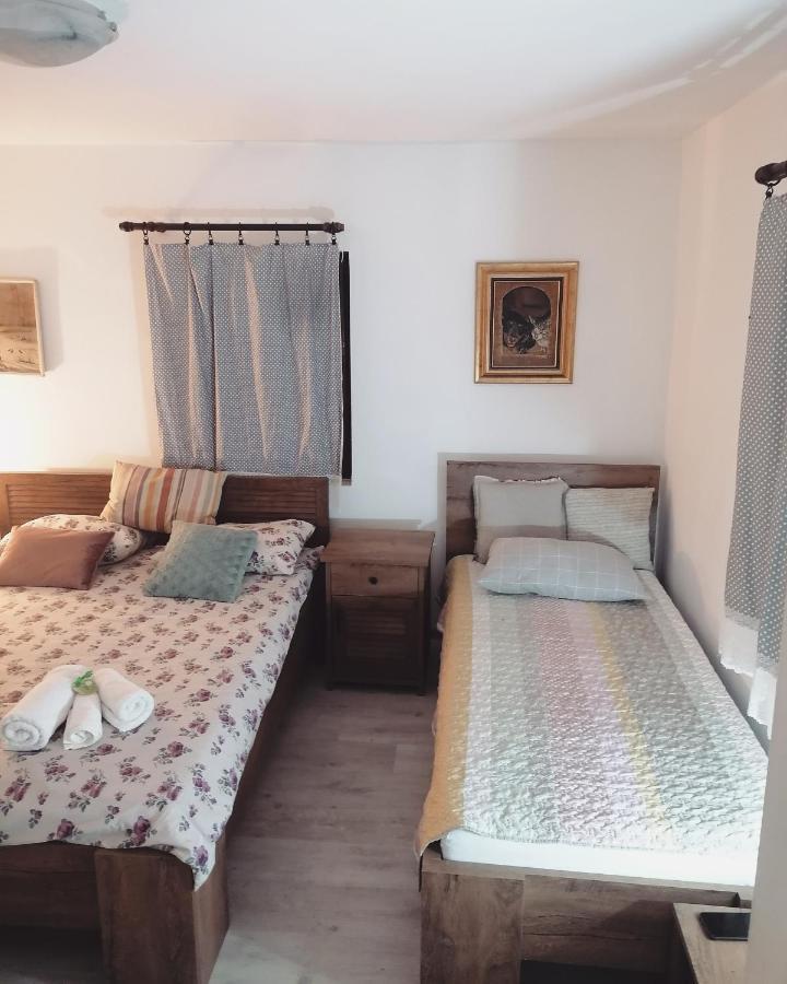 Amanet House Zasavica Apartment Bagian luar foto