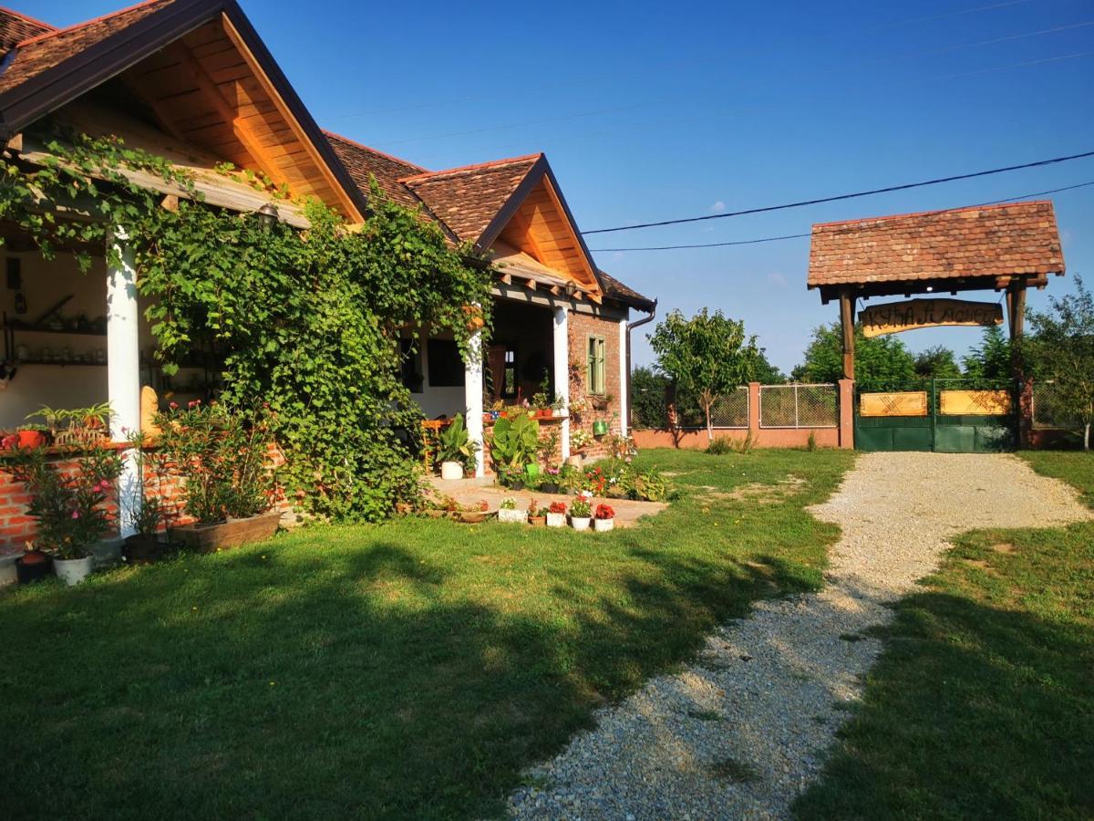Amanet House Zasavica Apartment Bagian luar foto