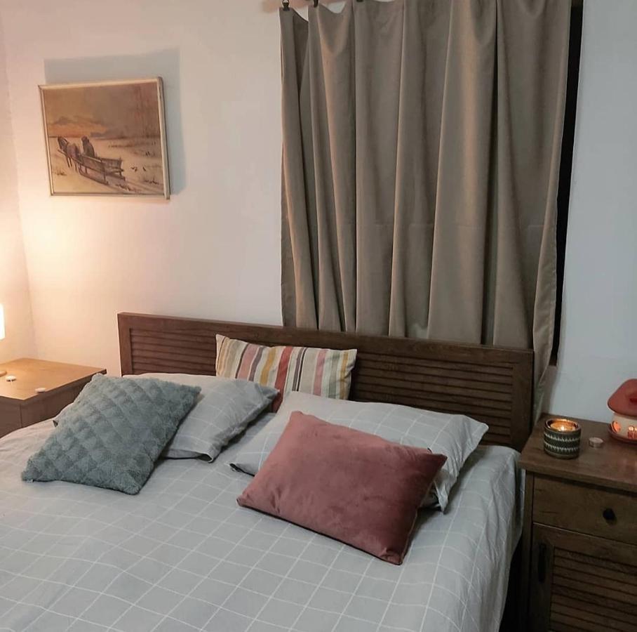 Amanet House Zasavica Apartment Bagian luar foto