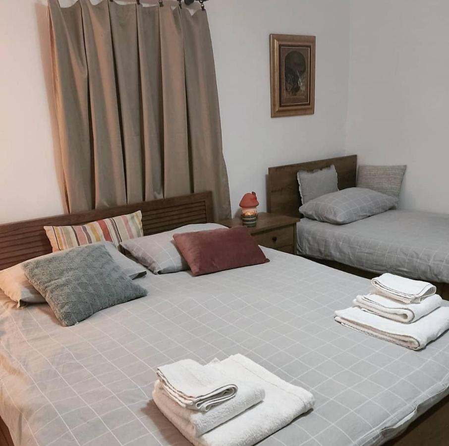 Amanet House Zasavica Apartment Bagian luar foto