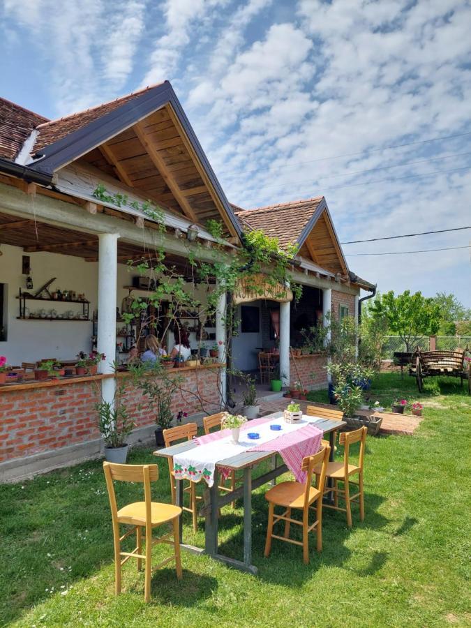 Amanet House Zasavica Apartment Bagian luar foto