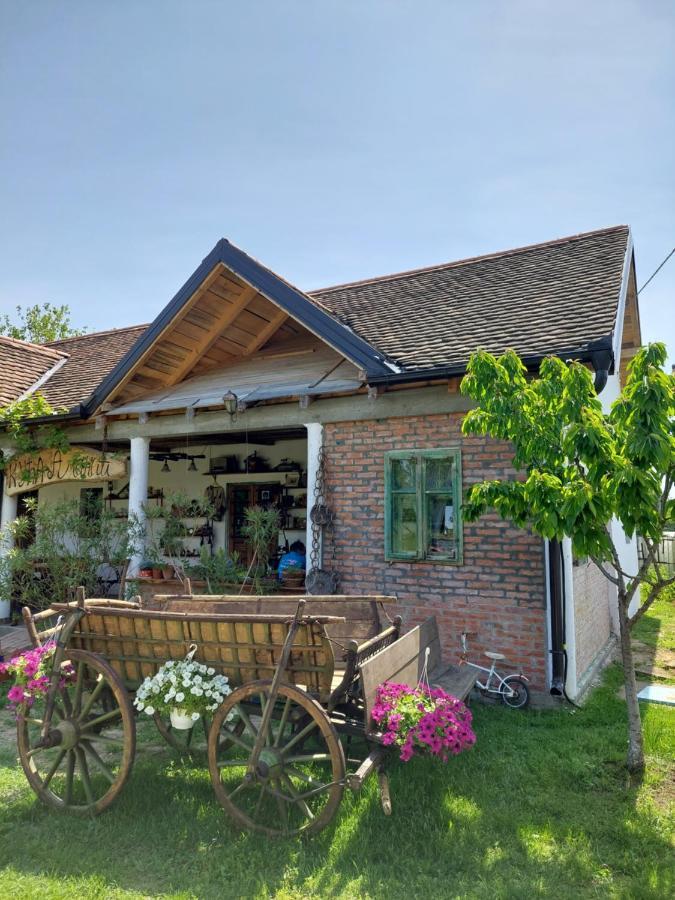 Amanet House Zasavica Apartment Bagian luar foto