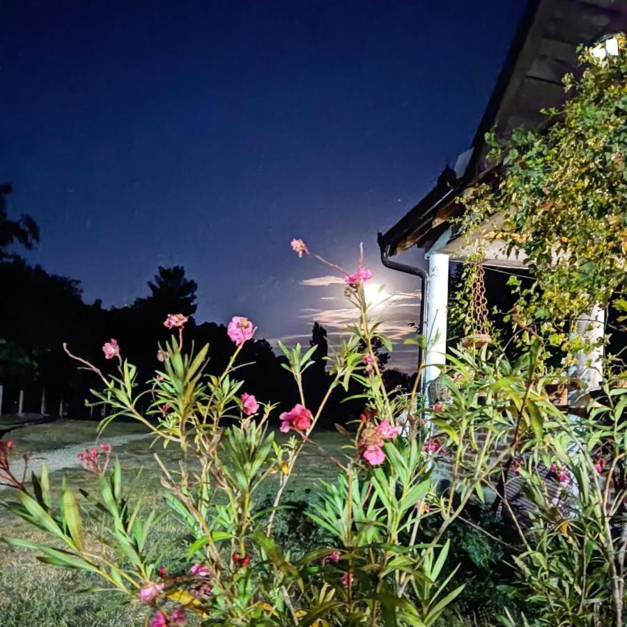 Amanet House Zasavica Apartment Bagian luar foto