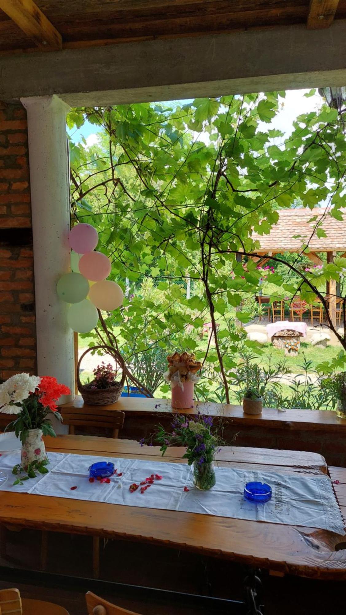 Amanet House Zasavica Apartment Bagian luar foto